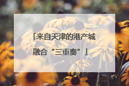 来自天津的港产城融合“三重奏”