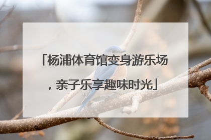 杨浦体育馆变身游乐场，亲子乐享趣味时光