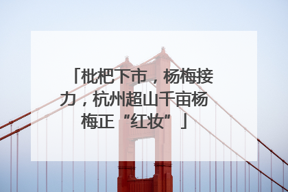 枇杷下市，杨梅接力，杭州超山千亩杨梅正“红妆”