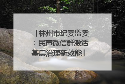 林州市纪委监委：民声微信群激活基层治理新效能