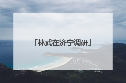 林武在济宁调研