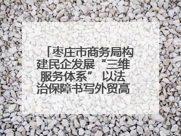 枣庄市商务局构建民企发展“三维服务体系” 以法治保障书写外贸高质量答卷
