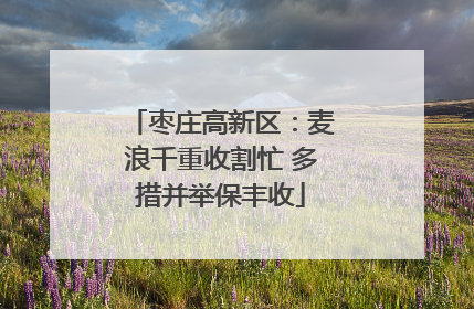 枣庄高新区：麦浪千重收割忙 多措并举保丰收