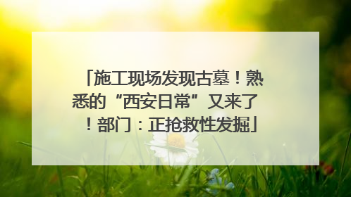 施工现场发现古墓！熟悉的“西安日常”又来了！部门：正抢救性发掘