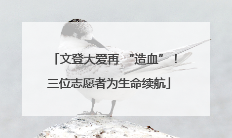 文登大爱再 “造血”！三位志愿者为生命续航