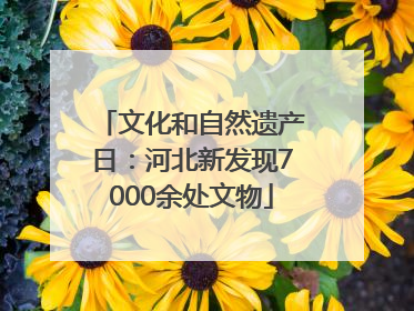 文化和自然遗产日：河北新发现7000余处文物