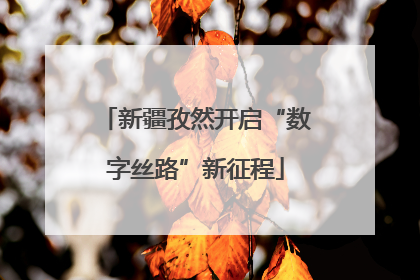 新疆孜然开启“数字丝路”新征程