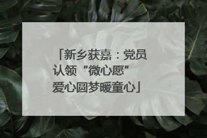 新乡获嘉：党员认领“微心愿” 爱心圆梦暖童心