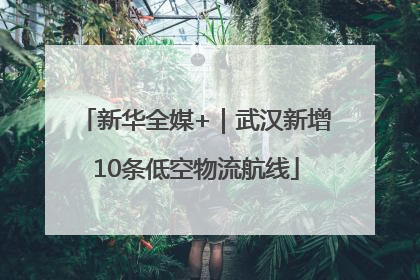 新华全媒+｜武汉新增10条低空物流航线