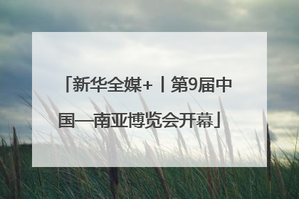 新华全媒+丨第9届中国—南亚博览会开幕