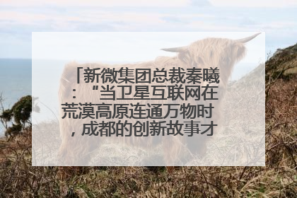 新微集团总裁秦曦：“当卫星互联网在荒漠高原连通万物时，成都的创新故事才真正开始”
