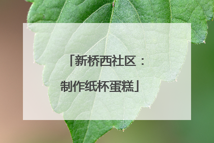 新桥西社区：制作纸杯蛋糕