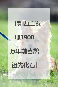 新西兰发现1900万年前喜鹊祖先化石