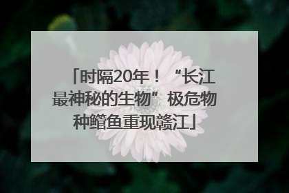 时隔20年！“长江最神秘的生物”极危物种鳤鱼重现赣江