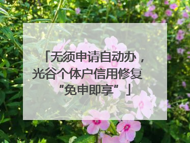 无须申请自动办，光谷个体户信用修复“免申即享”