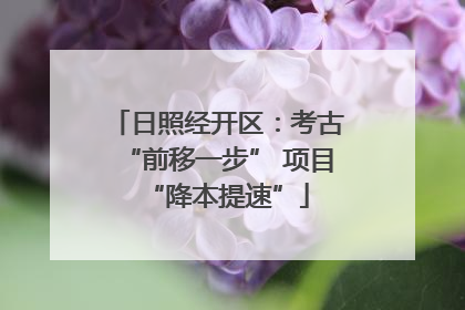 日照经开区：考古“前移一步” 项目“降本提速”