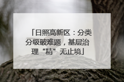 日照高新区：分类分级破难题，基层治理“精”无止境