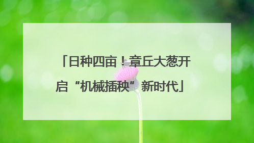 日种四亩！章丘大葱开启“机械插秧”新时代