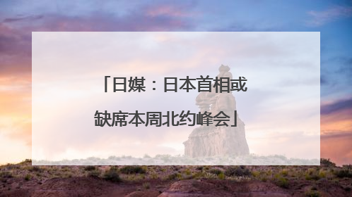 日媒：日本首相或缺席本周北约峰会