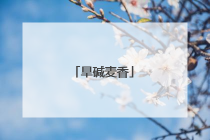 旱碱麦香