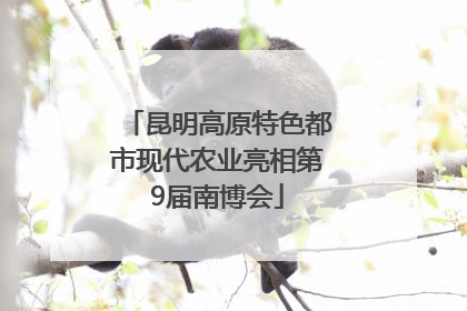 昆明高原特色都市现代农业亮相第9届南博会