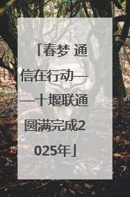 春梦 通信在行动——十堰联通圆满完成2025年