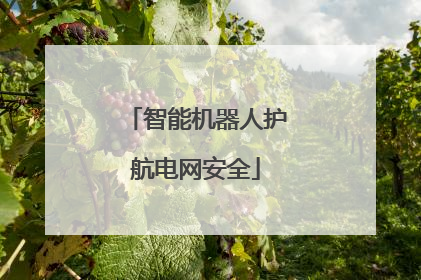 智能机器人护航电网安全