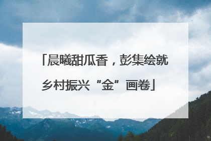 晨曦甜瓜香，彭集绘就乡村振兴“金”画卷