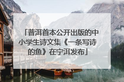 普洱首本公开出版的中小学生诗文集《一条写诗的鱼》在宁洱发布