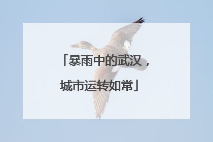 暴雨中的武汉，城市运转如常