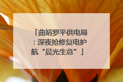曲靖罗平供电局：深夜抢修复电护航“晨光生意”