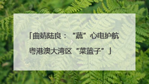 曲靖陆良：“蔬”心电护航粤港澳大湾区“菜篮子”