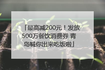 最高减200元！发放500万餐饮消费券 青岛喊你出来吃饭啦