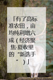 有了高标准农田，亩均纯利增六成（经济聚焦·夏收里的“新选手”）