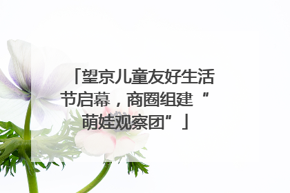 望京儿童友好生活节启幕，商圈组建“萌娃观察团”