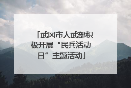 武冈市人武部积极开展“民兵活动日”主题活动