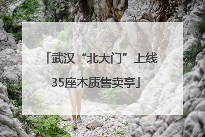 武汉“北大门”上线35座木质售卖亭