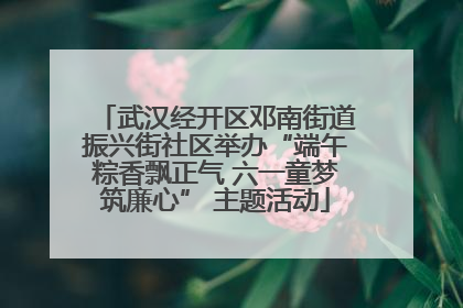 武汉经开区邓南街道振兴街社区举办“端午粽香飘正气 六一童梦筑廉心” 主题活动
