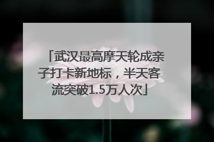 武汉最高摩天轮成亲子打卡新地标，半天客流突破1.5万人次