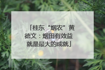 桂东“烟农”黄德文：烟田有效益就是最大的成就