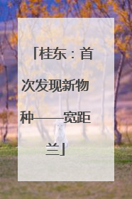桂东：首次发现新物种——宽距兰