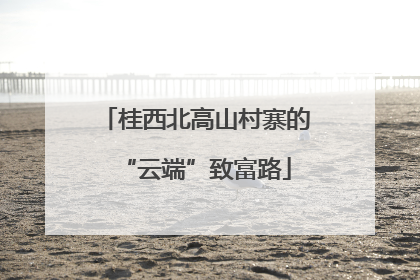 桂西北高山村寨的“云端”致富路