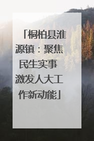 桐柏县淮源镇：聚焦民生实事 激发人大工作新动能
