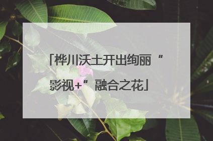 桦川沃土开出绚丽“影视+”融合之花