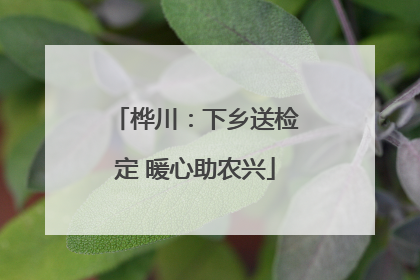 桦川：下乡送检定 暖心助农兴