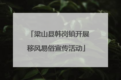 梁山县韩岗镇开展移风易俗宣传活动