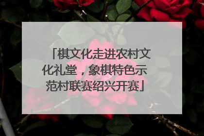 棋文化走进农村文化礼堂，象棋特色示范村联赛绍兴开赛