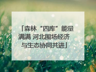 森林“四库”能量满满 河北围场经济与生态协同共进