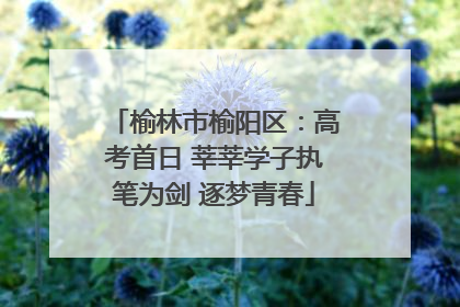 榆林市榆阳区：高考首日 莘莘学子执笔为剑 逐梦青春