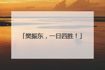 樊振东，一日四胜！